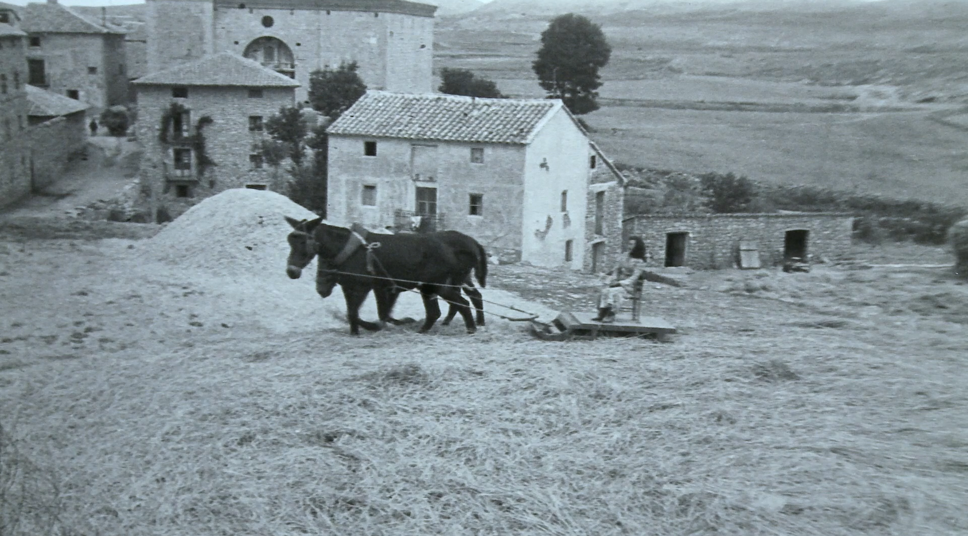 Herencia VII